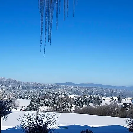 Vitalhotel Sonneneck Hohegeiß
