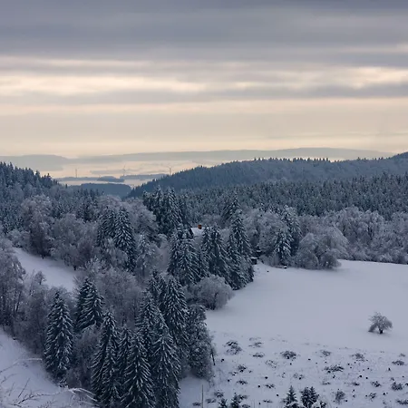 Vitalhotel Sonneneck 4* Hohegeiß