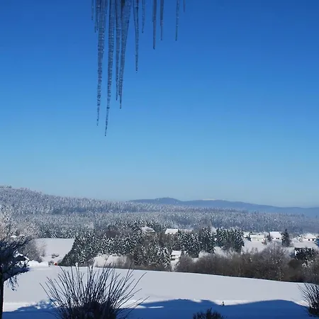 Hotel Vitalhotel Sonneneck 4*