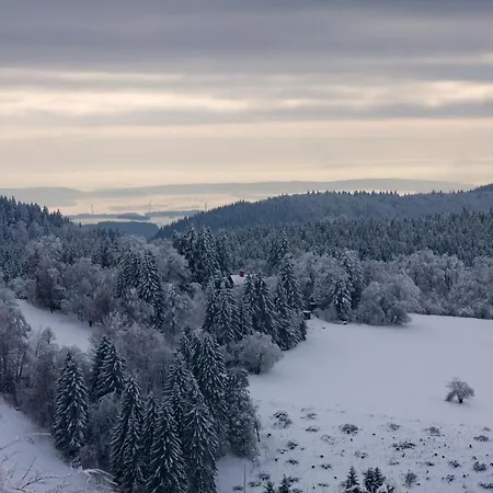 Vitalhotel Sonneneck 4* Hohegeiß