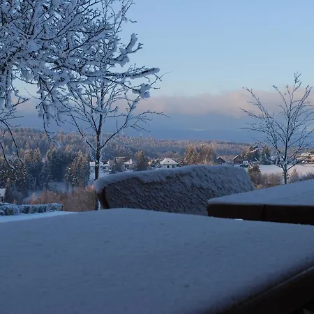 Hotel Vitalhotel Sonneneck 4*